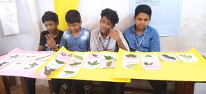 44553-20240123 115749.jpg