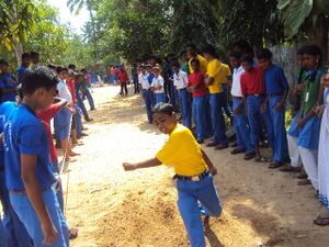 Sports12 35052 (3).jpg