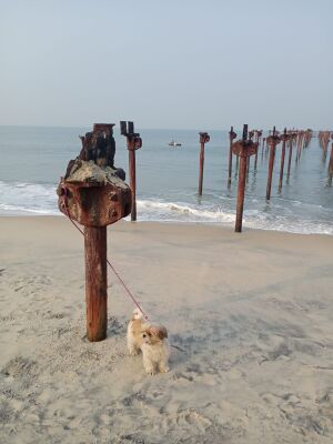 WhatsApp Image 2022-02-02 at 10.41.16 AM.jpeg