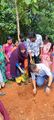 Adv.Sameera Faisal Planting on June5