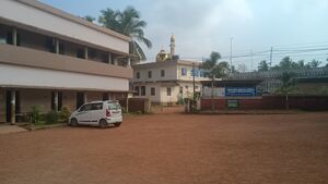 11440 bahmalps.resized.jpg