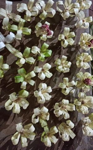 12355 welcomingday -flower-25.jpeg