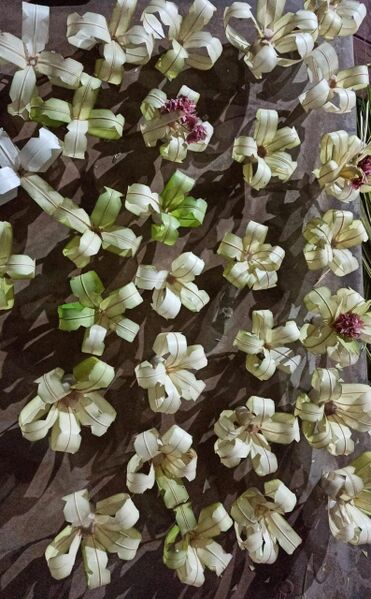 പ്രമാണം:12355 welcomingday -flower-25.jpeg