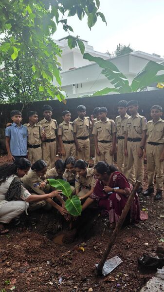 പ്രമാണം:13039 echo1.jpg