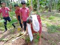 14:23, 15 സെപ്റ്റംബർ 2019-ലെ പതിപ്പിന്റെ ലഘുചിത്രം