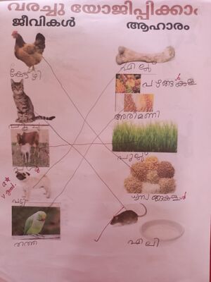 15448-WYD-KUNJ-AEBEL PAUL SHINTO.jpg