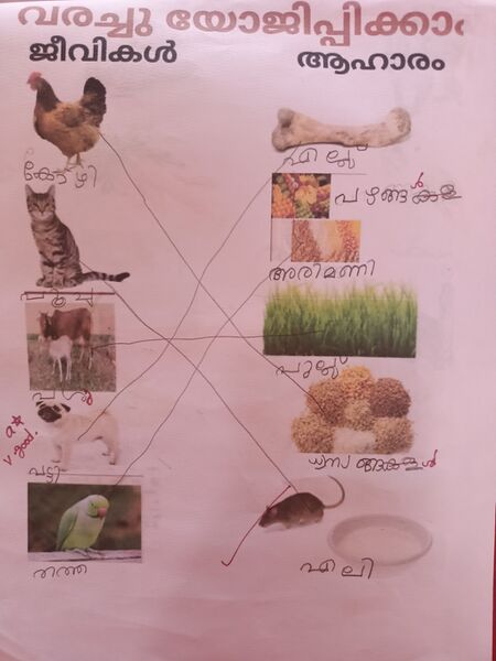 പ്രമാണം:15448-WYD-KUNJ-AEBEL PAUL SHINTO.jpg