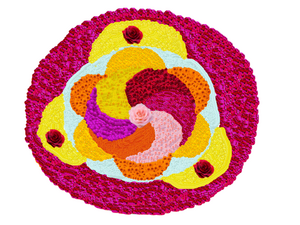 19359 mlp dp 2019 2.png