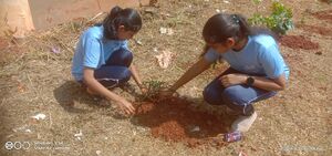 20036-school beautification 1.jpg