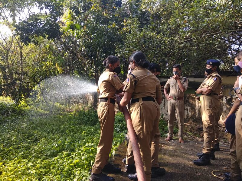 പ്രമാണം:23013 spc ff2.jpeg