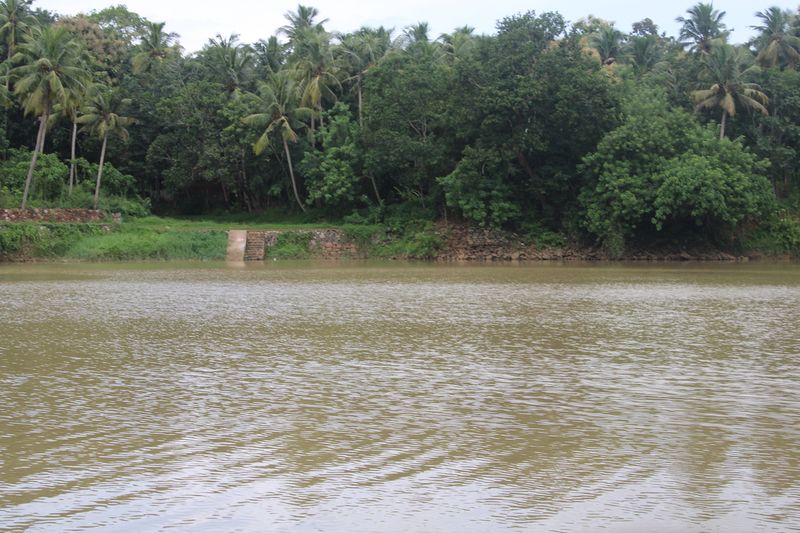 പ്രമാണം:39006 d0c2.JPG