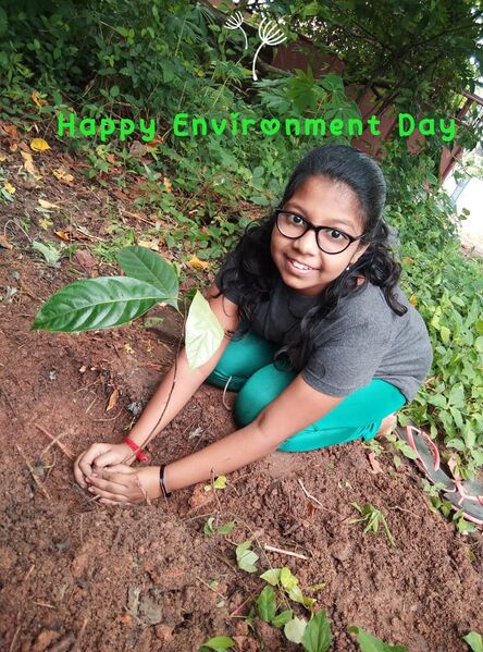 പ്രമാണം:44050 eco 43.jpeg