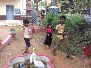 ജൈവവൈവിധ്യ ഉദ്യാനം