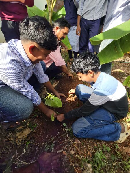 പ്രമാണം:16056 Env Day2025 Tree1.jpg