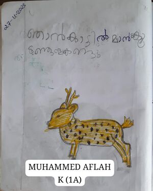 19077-MLP-KUNJ-MUHAMMED AFLAH K 1A.jpeg