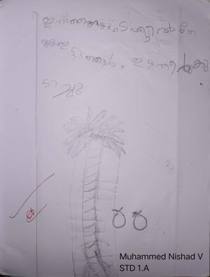 19857-MLP-KUNJU-MOHAMMED NISHAD V2.jpg