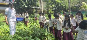 20529 HITECH SCHOOL2.jpg