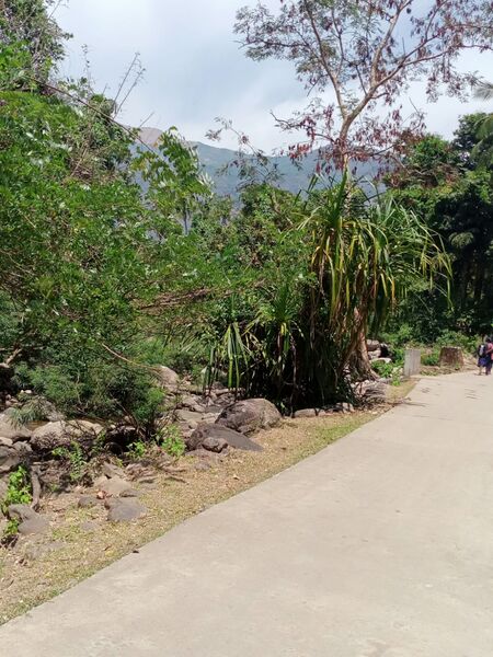 പ്രമാണം:21068 ela fieldtrip3.jpeg