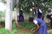 ഡ്രൈ ഡേ ആചരണം