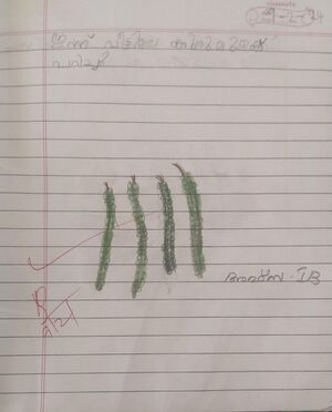 26207-EKM-KUNJ-AFZAA FATHIMA.jpeg