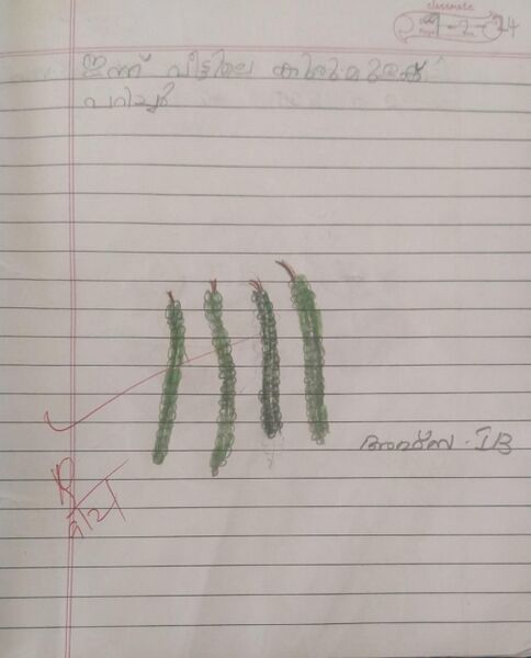 പ്രമാണം:26207-EKM-KUNJ-AFZAA FATHIMA.jpeg