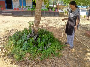 28012 SP 1920 298.jpeg