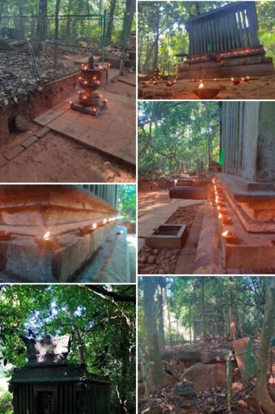 പ്രമാണം:29312 kurinjikkavu1.jpg