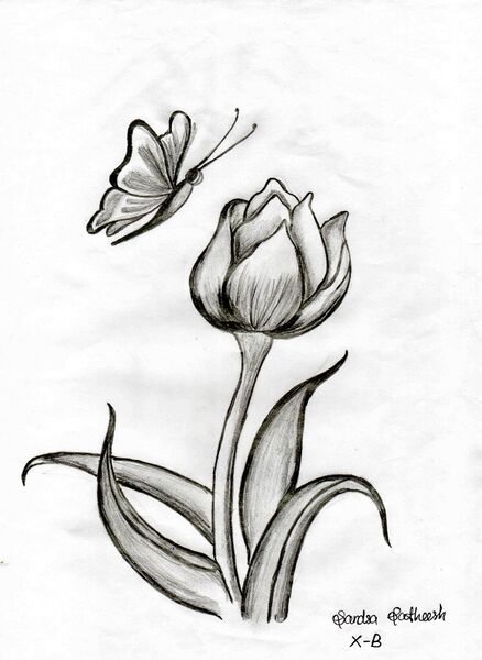 പ്രമാണം:30065 404.jpg