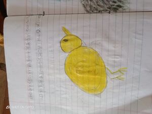 31469-KTM-KUNJ-SUDHARSHAN SANIL.jpg