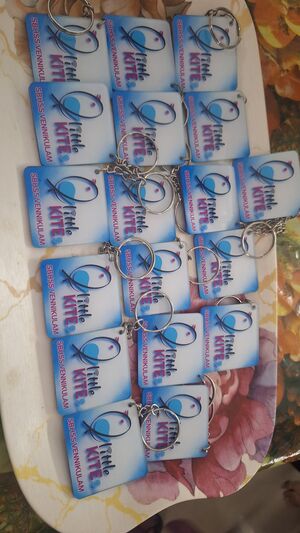 37053-JUNIOR LITTLE KITES (7).jpg