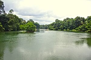 Manimalayar river @ Pazhayidam.jpg