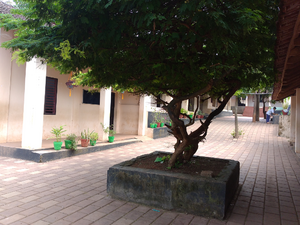 School building.19875.png