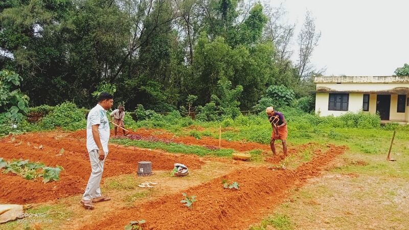 പ്രമാണം:11411-KGD-KITCHEN GARDEN1.jpeg