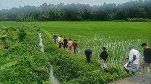 12043 mazhayathra 2024 june 01.jpg