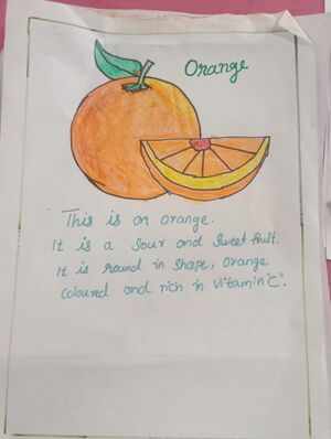 13369 KUP ARAV RIJIN .jpeg