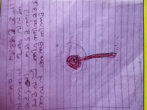 14827 KUNJ Fathima 1.jpeg