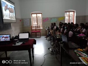 26058 lk 22-camp 2.jpeg