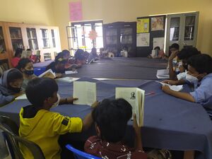 26090 library1.resized.jpg