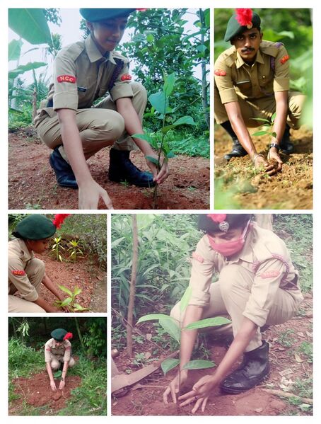 പ്രമാണം:37001 ld24.resized.jpg