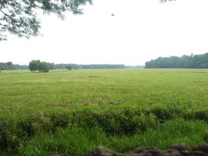 37001 nalpadam1.jpeg