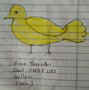 37430-PTA-SIVA THEERTHA STD1.jpg