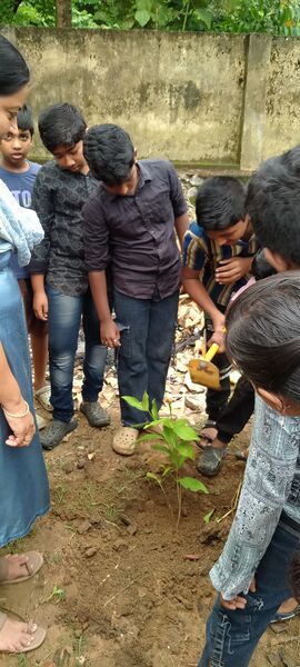 പ്രമാണം:42363-Environment day.jpg