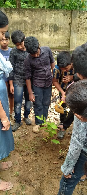 42363-Environment day.jpg