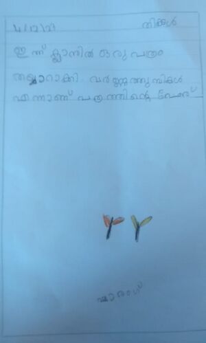 44530 20240312 174323 (1).jpg