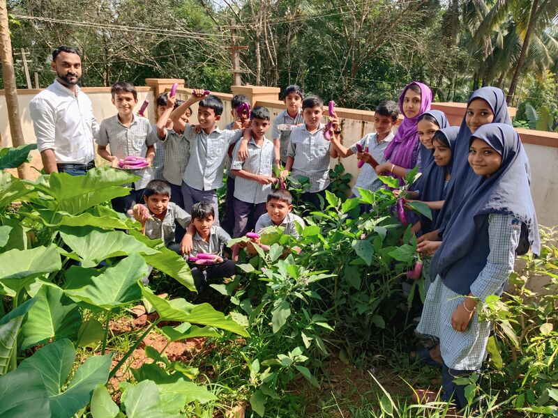 പ്രമാണം:48134 harvest.jpg