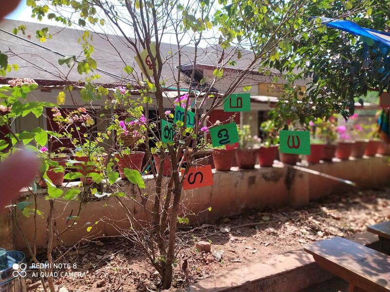 പ്രമാണം:4850 അക്ഷര വൃക്ഷം.jpeg