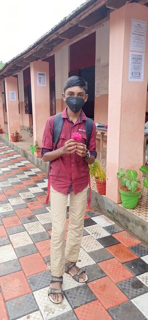 BS21 TVM 42050 1.jpg