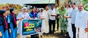 Environment day 2.jpg