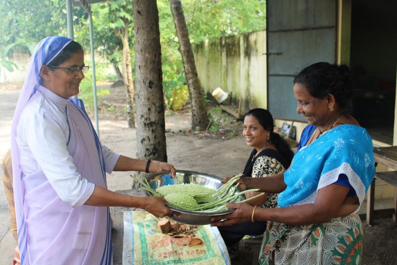 പ്രമാണം:Krushi 19 35052 5.jpg