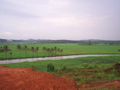 14:09, 14 മാർച്ച് 2025-ലെ പതിപ്പിന്റെ ലഘുചിത്രം